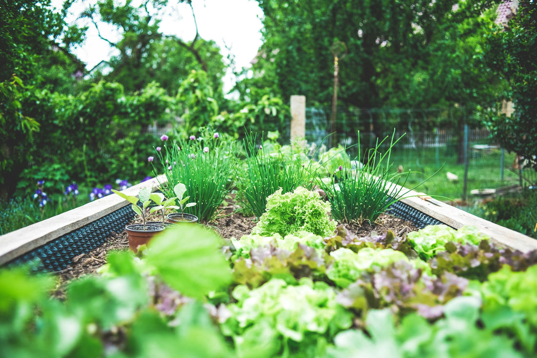 Preparing Your Garden Soil for Spring: A Step-by-Step Guide