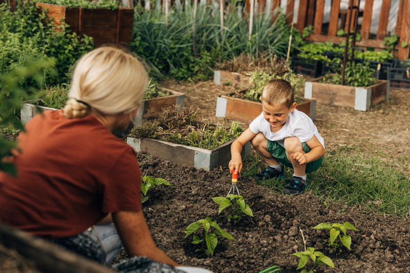 Unlock the Power of Soil Biology with NanoSoil