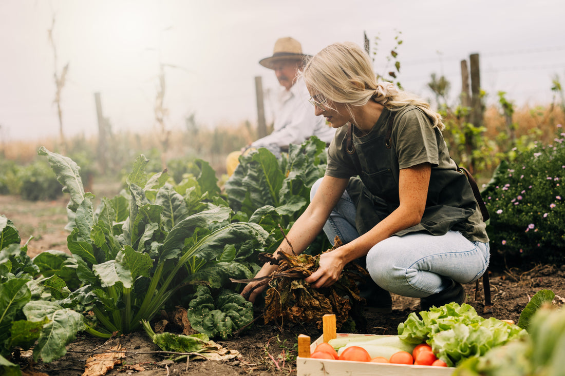 Regenerative Agriculture Made Simple