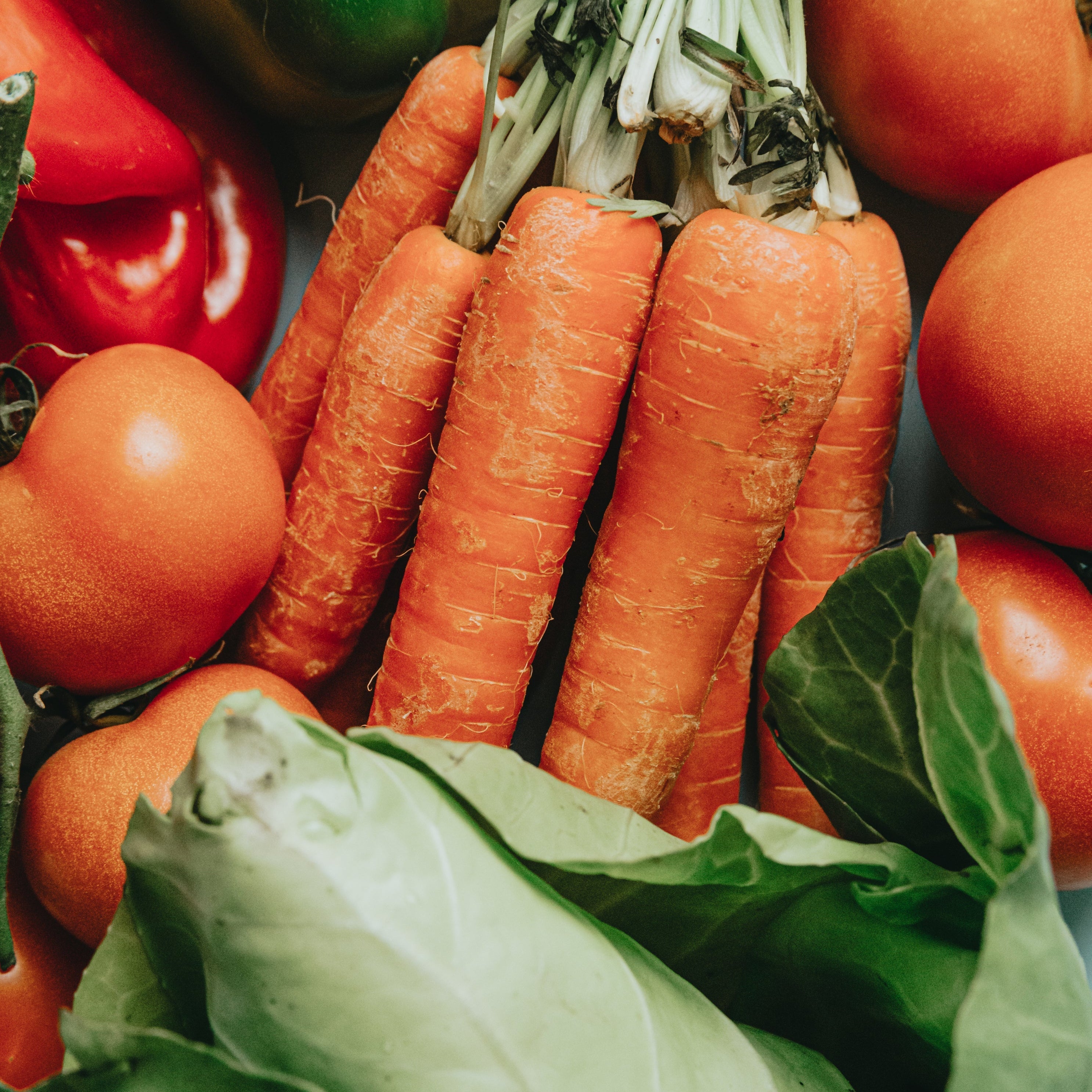 Assorted fresh vegetables including carrots, tomatoes, and a head of lettuce.
