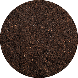 Plant Growth Hormones