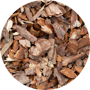 Carbon-Rich Organic Matter